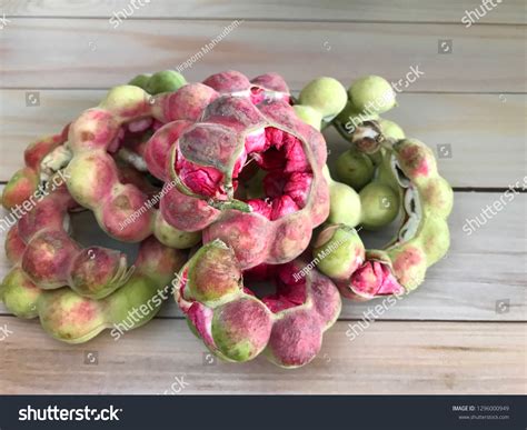 Camachile Images, Stock Photos & Vectors | Shutterstock