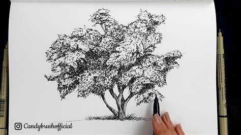 Pen Ink Drawing 18 How To Draw A Tree YouTube