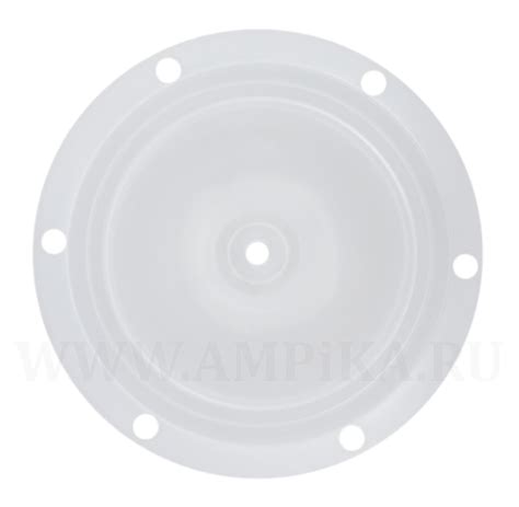 Запчасти для мембранных насосов FTI Air 1/2 дюйма: Мембрана, PTFE ...