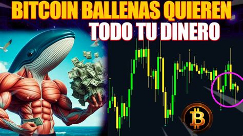 Bitcoin Las Ballenas Quieren Tu Dinero Pronostico Bitcoin Hoy Espa Ol