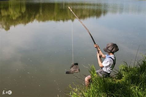 釣魚人必知的四個垂釣規律 每日頭條