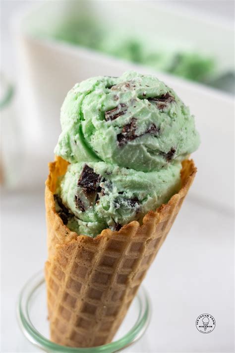 Mint Chocolate Chip Ice Cream Scoop