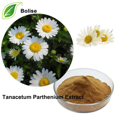 Tanacetum Parthenium Extract Suppliers Feverfew Extract Manufacturers