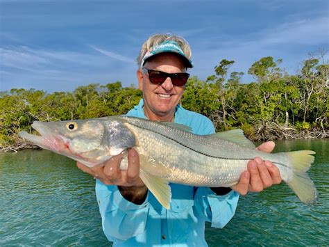 Naples And Marco Island Fishing Charters Latest Report Naples