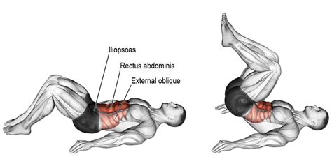 How to Do The Reverse Crunch – Tips, Benefits and Variations – Fitness Volt