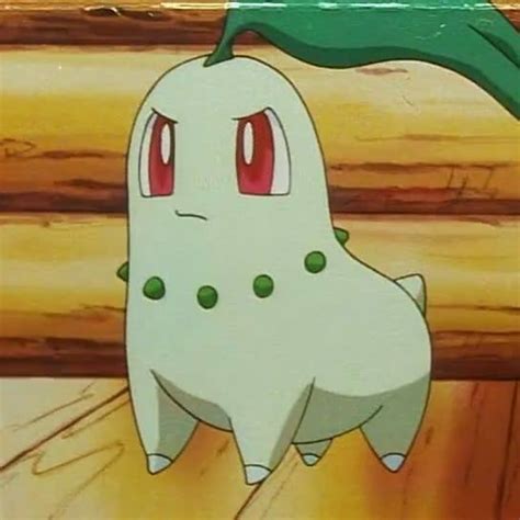 Pokemon Appreciation 19 Chikoritachicorita The Leaf Pokemon I Like