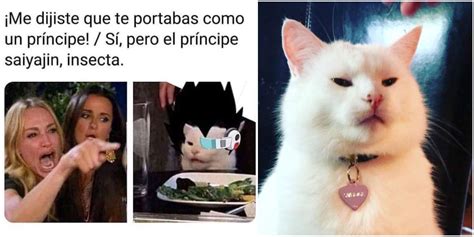 El Origen Del Meme Viral Del Gato Blanco Y La Mujer Que Le Grita Tele Porn Sex Picture