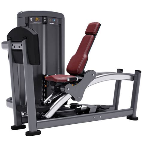 Appareil De Musculation Presse Pour Jambes Ss Lp Life Fitness