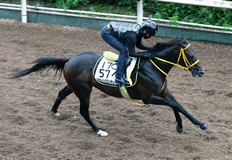 【毎日王冠】鳴尾記念14着のフェーングロッテンは積極策で巻き返す 宮本調教師「前、前で競馬をしたい」 Umatoku 馬トク