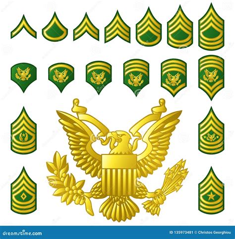 Enlisted Army Ranks Army Enlisted Rank Insignia Stock Vector NBKomputer