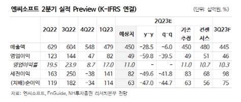 Nh투자 엔씨소프트 올해 실적 역성장 불가피목표주가 하향 디지털타임스