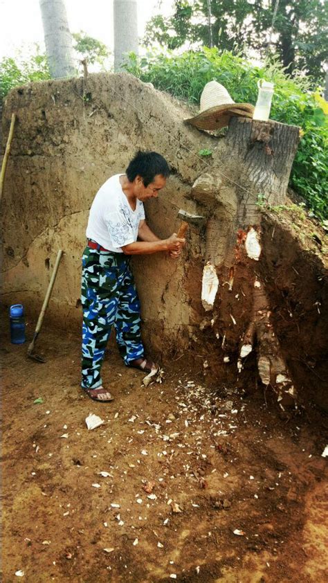 隋唐洛阳“长夏门”重见天日 搜狐大视野 搜狐新闻