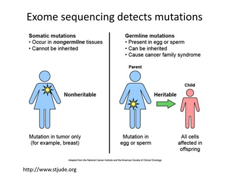 Ppt Exome Sequencing Data Analysis Powerpoint Presentation Free Download Id523032