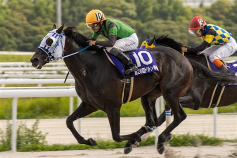 Winning Horse Club🇨🇳🤝🇯🇵 On Twitter トリトン争覇、ウインユニファイドは10歳で遂に重賞初優勝！ 沖田厩舎