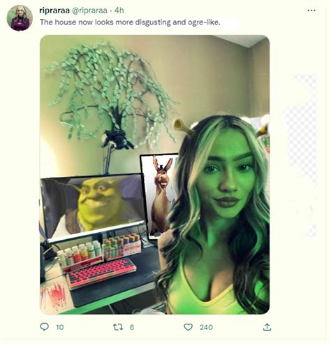 John On Twitter Ripraraa Wtf Are You Not The Shrek Themed Streamer