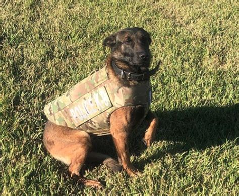 Jennings K9 Officer Receives Donated Body Armor Vest