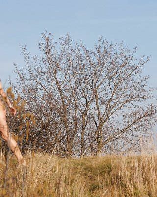 First Photoshoot Wife After Porn Pictures XXX Photos Sex Images 1564981 PICTOA