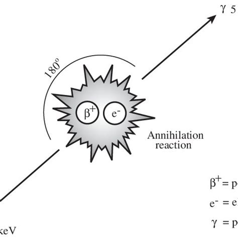 2. Positron-electron annihilation reaction. | Download Scientific Diagram