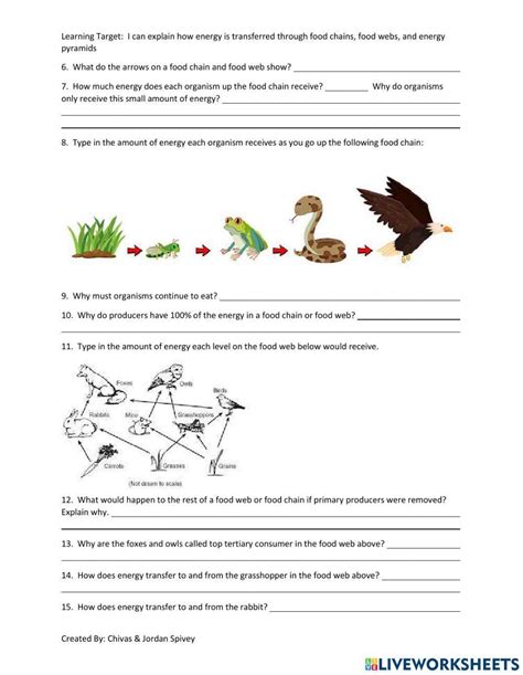 Food Chains Food Webs And Energy Pyramids Video Notes With Quiz Worksheets Library