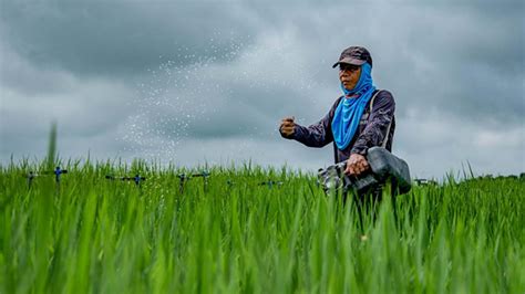 Farmers Get Solar Dryers In Agusan Sur The Mindanao Life