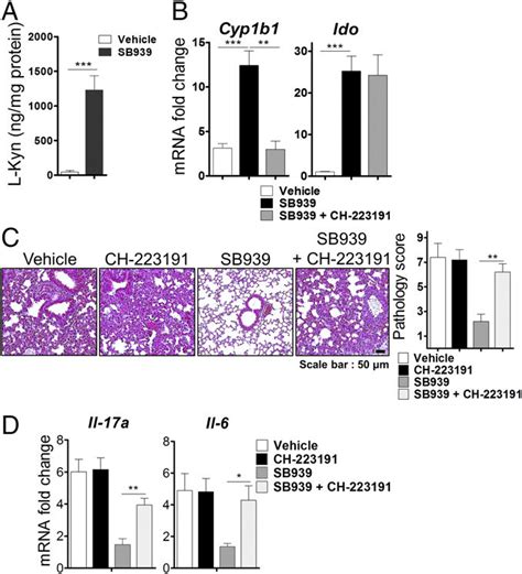 HDACi Induced IDO Expression Prevents IPS Via The AhR Pathway AD