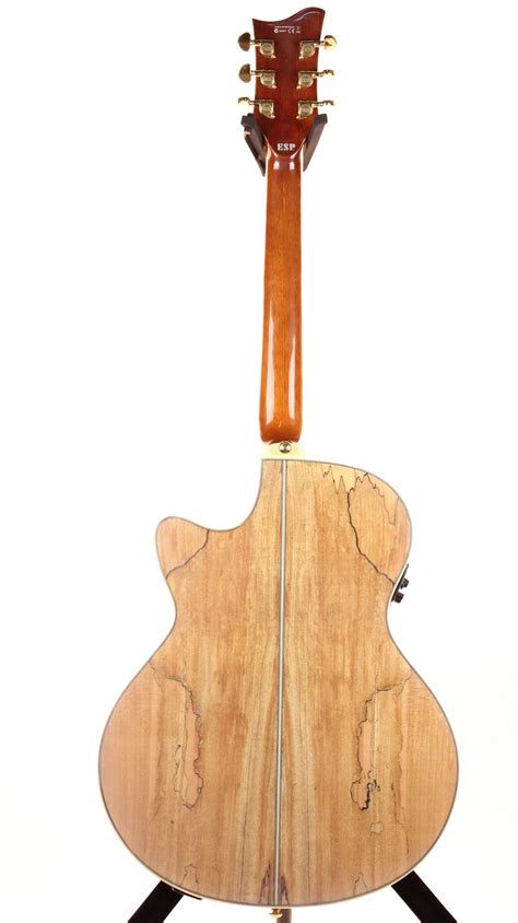 Esp Xtone Exotic Wood Cutaway Acoustic Electric Guitar Spalted Maple On Galleon Philippines