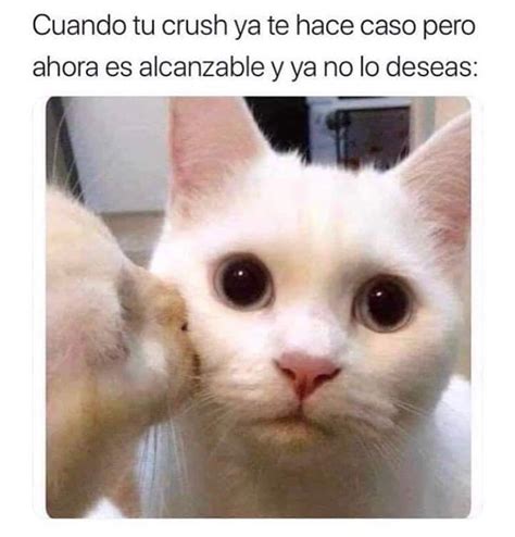 Cuando Tu Crush Ya Te Hace Caso Pero Ahora Es Alcanzable Y Ya No Lo