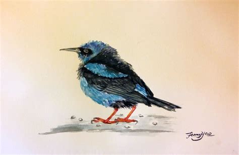 Original Watercolor Painting Blue Bird II 8x10 - Etsy