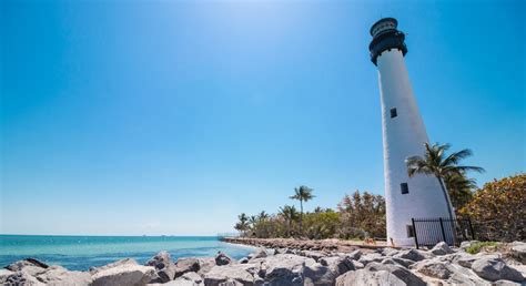 Les Meilleures Activit S Pour D Couvrir La Faune En Floride