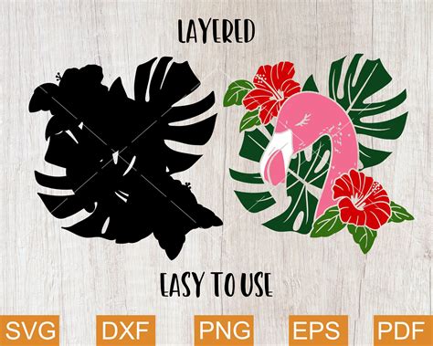 Flamingo Svg Tropical Svg Monstera Svg Hibiscus Svg Etsy Svg