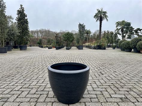 Luxury Vase Plantenbak Zwart 60 Cm Palmexpert Nl