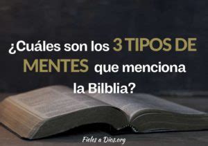 Cu Les Son Los Tipos De Mente Que Menciona La Biblia Fieles A Dios