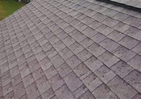 Roof Damage Insurance Approval for Hail: Policy Coverage | Hanover PA