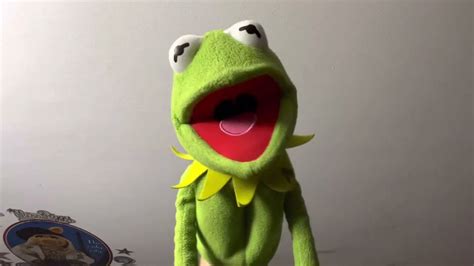 Kermit The Frog Sings Caribbean Amphibian Youtube