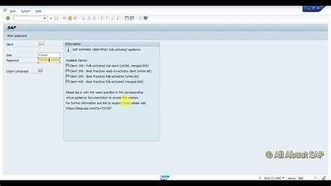 How To Set Different Colors Client Wise And Change Theme In Sap Gui