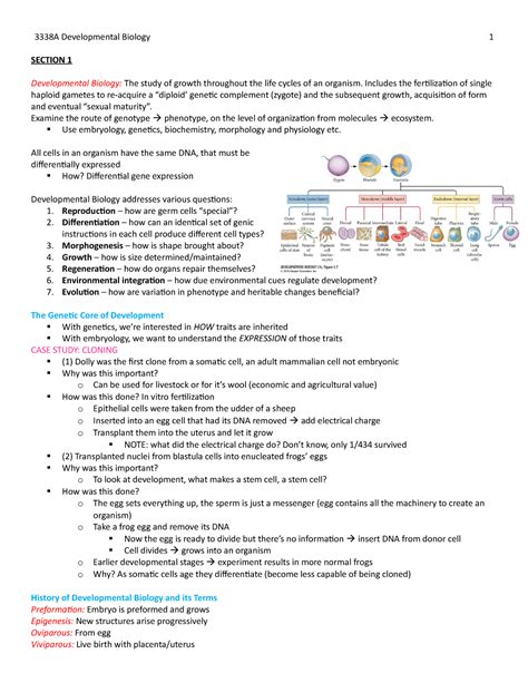 Developmental Biology Notes Developmental Biology 1 SECTION 1