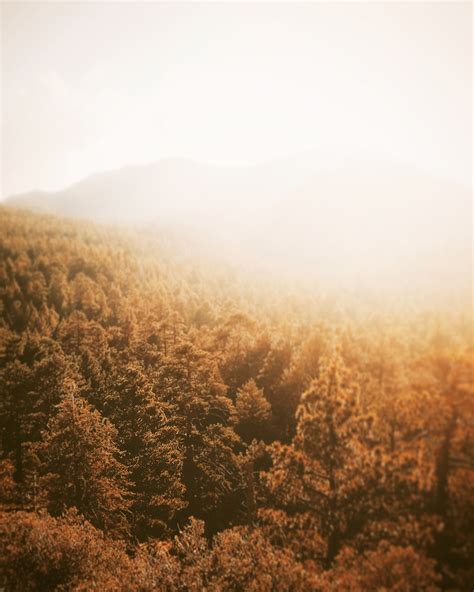 Kostenlose Foto Baum Natur Wald Horizont Berg Wolke Himmel