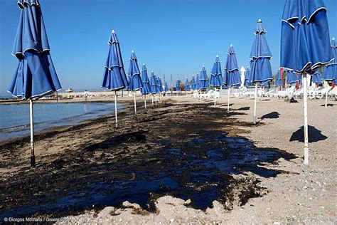 Fundaci N Greenpeace Argentina Las Costas De Mar Del Plata Llenas De