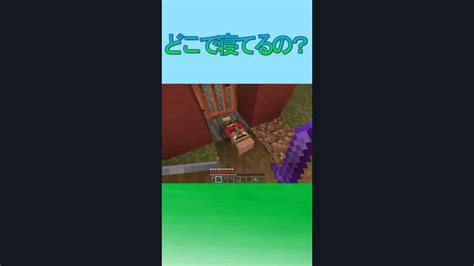 村人さんどこで寝てるの？【マインクラフトminecraft】short マイクラ（minecraft）動画まとめ