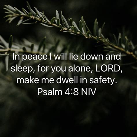 Psalms 4 8 In Peace I Will Lie Down And Sleep For You Alone Lord Make