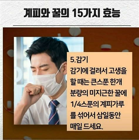 계피와 꿀의 15가지 효능