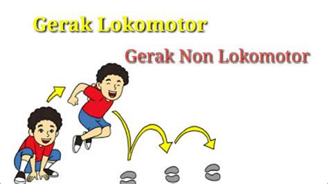 Apa Sih Bedanya Gerak Lokomotor Dan Gerak Non Lokomotor The Best Porn | Hot Sex Picture