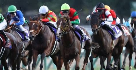 【中山金杯】出走馬の調教後の馬体重 その他競技 スポーツブル スポブル