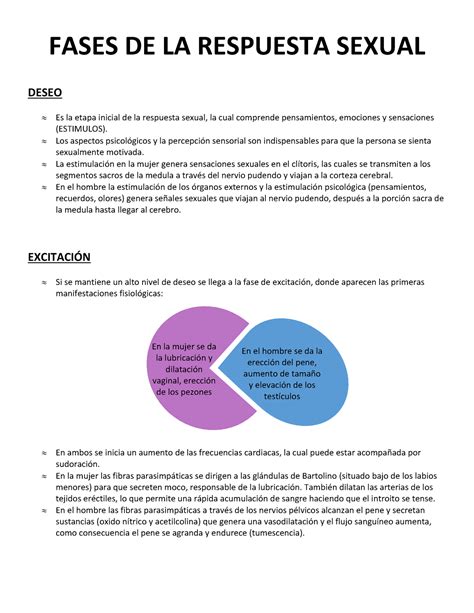 Fases De La Respuesta Sexual Fases De La Respuesta Sexual Deseo Es La Etapa Inicial De La