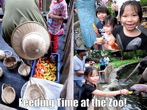 feeding-time-at-zoo.jpg - Ed Unloaded.com | Parenting, Lifestyle, Travel Blog