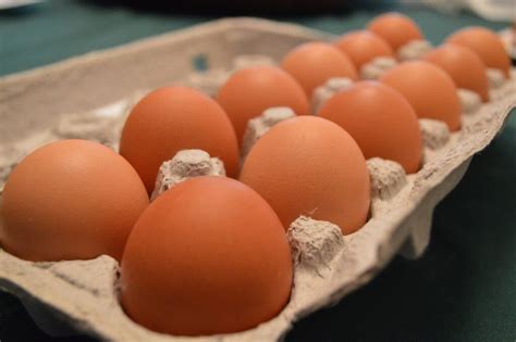 Cage-Free Eggs | Plum Creek Farm