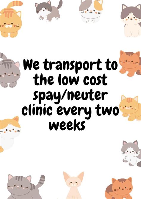 Low Cost Cat Spay/Neuter Clinic , Muhlenberg County Humane Society