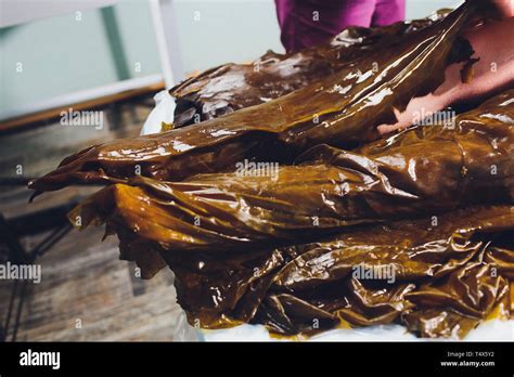 Spa Treatment With Algae Woman On Seaweed Wraps At A Spa Salon