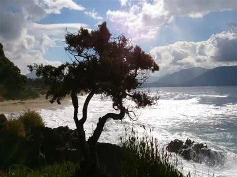 Photos Beach Of Scodi Neri Leisure Centre In Olmeto