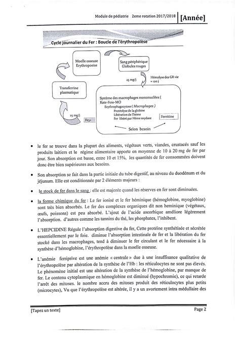 Solution Pediatrie An Anemie Carentielles Benfetima Studypool